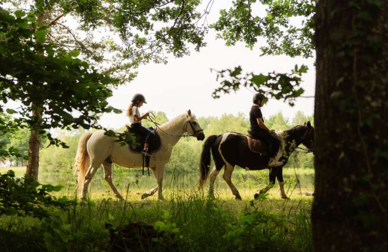 camping essonnes etampes levauvert villagescollection equitation